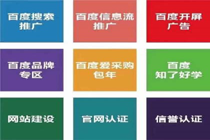 SEO与SEM优化案例：打造行业领先品牌